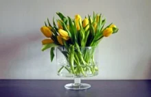 Tulipany w wazonie – co zrobić, żeby stały długo i ładnie się prezentowały?