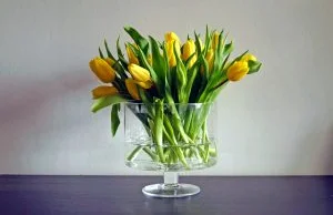 Tulipany w wazonie – co zrobić, żeby stały długo i ładnie się prezentowały?