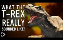 Czy tak rzeczywiście brzmiał T-rex?