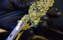 Connecticut cops told to prepare for legal recreational marijuana