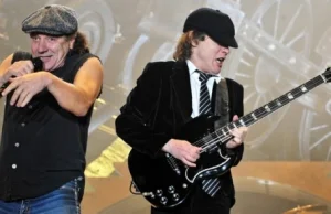 AC/DC ulubioną kapelą rekinów!