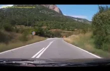 Czarnogórski ogier