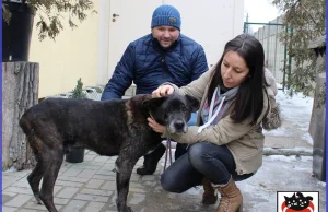 Ogi. Pies, który kiblował w łódzkim schronisku 6 lat znalazł dom!