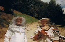 Ma 97 lat i wciąż zajmuje się pszczołami!