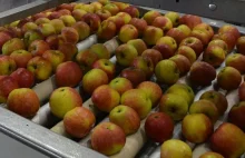 Jabłkowy kryzys dotknie konsumentów