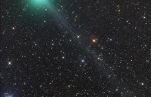 Binocular Comet Lovejoy Heading Our Way - Sky & Telescope