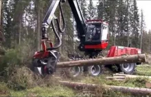 Wyrąb lasu ciężkim sprzętem