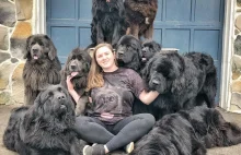 To prawdopodobnie największe psy na świecie. 28-latka ma ich aż dziewięć