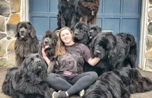 To prawdopodobnie największe psy na świecie. 28-latka ma ich aż dziewięć