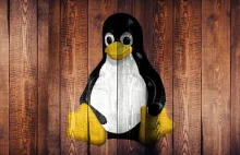 Linux 4.11 – dłużej na baterii, szybsze dyski i wirtualizacja Radeonów
