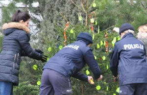 Policjanci apelują: "Rozbierzcie choinkę przed świętami!”