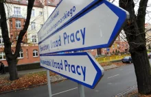 Dlaczego urzędy pracy nie zajmują się tym, czym powinny