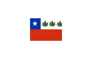 Górnicy z Chile palili marihuanę