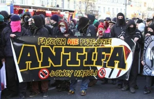 Polska Antifa - bójki i kopy