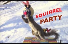Najlepszy karmnik jaki widzieliście ;) Squirrel Party