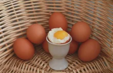 Fakty na temat jajek
