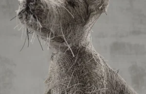 Artysta używa tekstylnych tkanin do tworzenia rzeźb psów