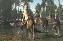 Nowe gatunki dinozaurów wielkości psa znalezione w Australii