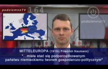 Robią nas w konia: Czy UE to IV Rzesza Niemiecka? Mitteleuropa XXI w.