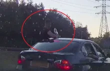 Ząbki: Mężczyzna pije wódkę na dachu samochodu podczas jazdy! - info.pl