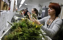 Colorado Sells $19 Million in Cannabis in March: $1.9 Million Goes to...
