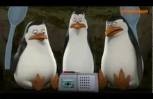 Pingwiny z Madagaskaru wersja alternatywna