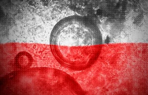 Grypa: organizacja głupoty w Polsce cz. 1