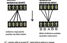 Hipergamia kobiet w praktyce i brak seksu w związku