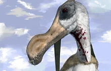 Oto największy na świecie zębaty pterozaur!