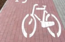 Gdynia: Ścieżek rowerowych nie będzie, bo projekt opisujący ich budowę...
