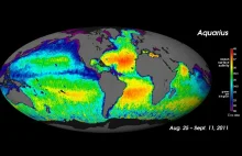 Zasolenie wód na Ziemi - z czego wynika jego poziom?