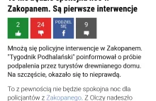 Portal wp.pl w formie.