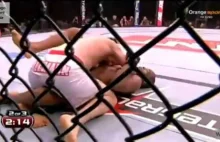 Piotr "płetwal" Hallman pokonuje Francisco Trinaldo w UFC - video