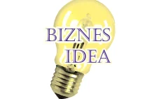 Idea biznesu