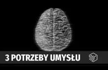 Odtajnione akta CIA - bez czego Twój umysł się rozpada