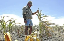 Zimbabwe wypłaci rekompensaty 737 białym farmerom