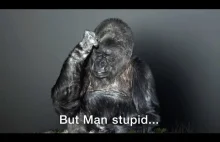 Koko goryl, który mówi językiem migowym
