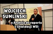 Wojciech Sumliński o Aneksie do raportu z likwidacji WSI