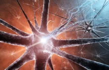 Naukowcy zmieniają komórki w neurony bezpośrednio w mózgu