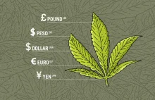 Sprawdź, ile kosztuje zioło w 120 miastach świata