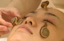 Śluzem po twarzy. Japonki ślimakami ujędrniają skórę