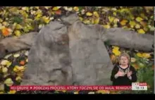 Szlakiem Martwej Drogi; syberyjski koszmar (TVP Info, 10.12.2013