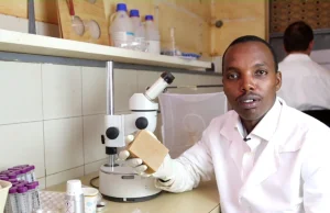 Afrykański naukowiec stworzył mydło, które odstrasza komary przenoszące malarię