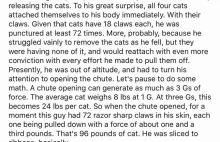 Eksperyment z kotami spadającymi na cztery łapy [eng]
