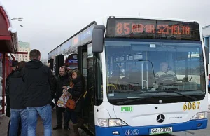 Gdynia ma najbardziej ekologiczny transport w Polsce