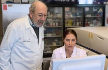 Naukowcy z Uniwersytetu Stanford opracowali szczepionkę, która zabija raka...