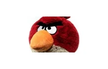 Gigantyczny kontroler do Angry Birds