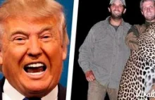 Dzieci Donalda Trumpa zabijają dzikie zwierzęta w Afryce