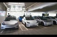 Tesla Model 3 nagrała zlodzieja...