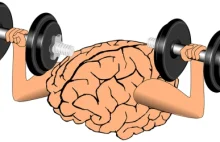 Psycholog: inteligencja jest jak mięśnie, wymaga stałego użycia